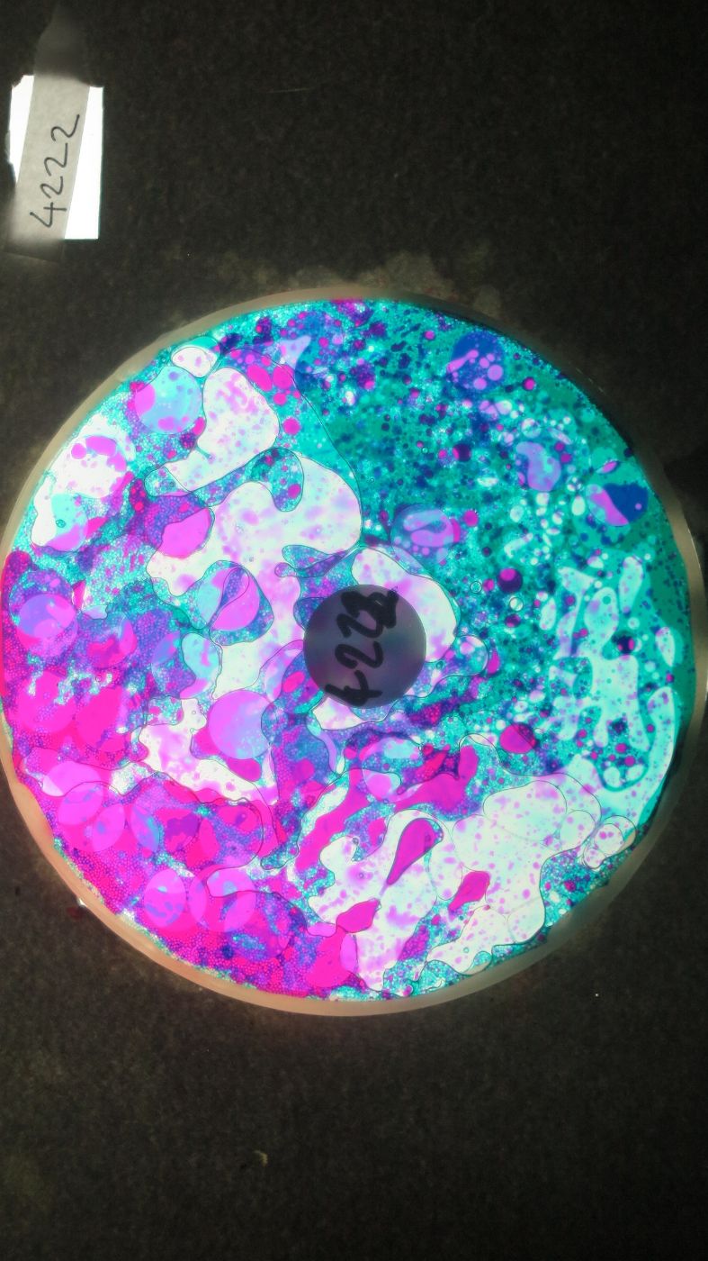 BV4222 bubble vision oil wheel